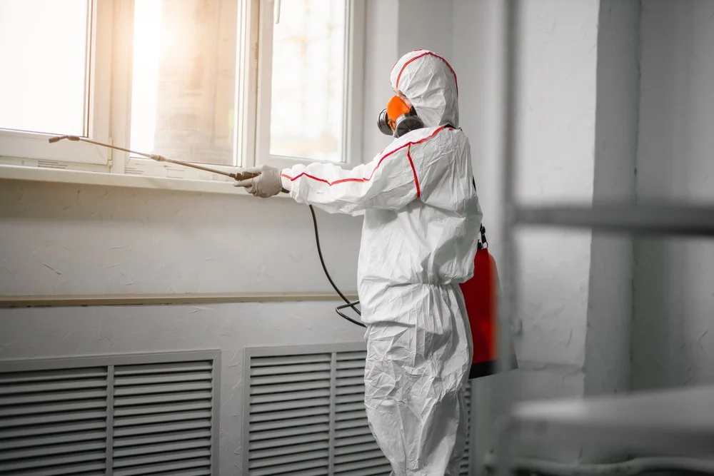 Professional mold remediation services in Bloomingdale, NJ